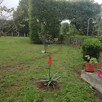 Quinta Do Paraizo * Ribeira Grande