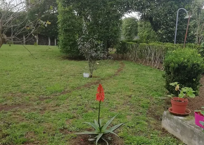 Quinta Do Paraizo * Ribeira Grande