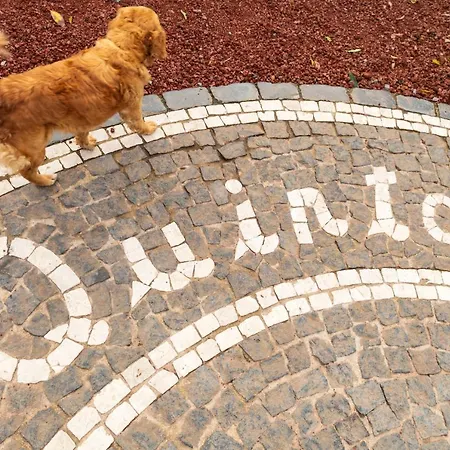 Lantgård Quinta Do Paraizo Ribeira Grande