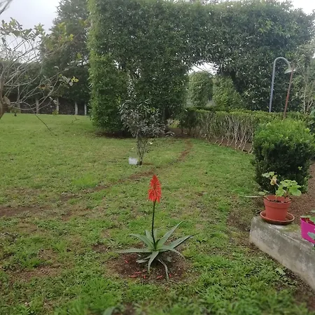 Quinta Do Paraizo * Ribeira Grande