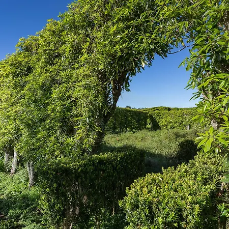 Quinta Do Paraizo Feriegård *