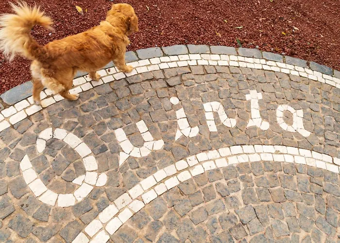 Feriegård Quinta Do Paraizo Ribeira Grande